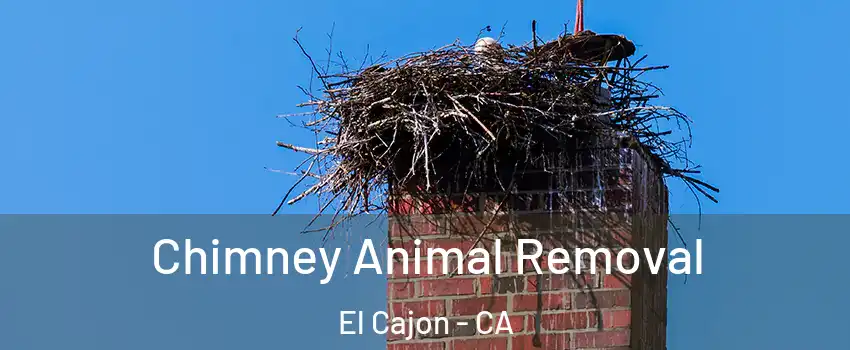 Chimney Animal Removal El Cajon - CA