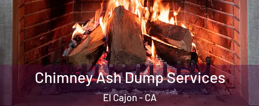 Chimney Ash Dump Services El Cajon - CA