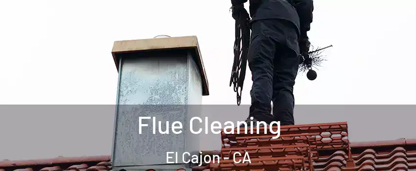 Flue Cleaning El Cajon - CA