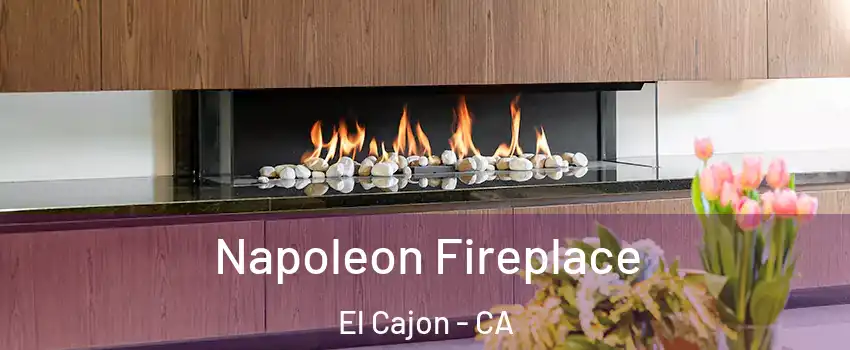 Napoleon Fireplace El Cajon - CA